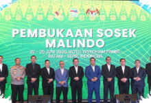 Batam-Johor Masuk Sorotan, Pemerintah Dorong Jalur RoRo di Perbatasan