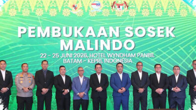 Batam-Johor Masuk Sorotan, Pemerintah Dorong Jalur RoRo di Perbatasan