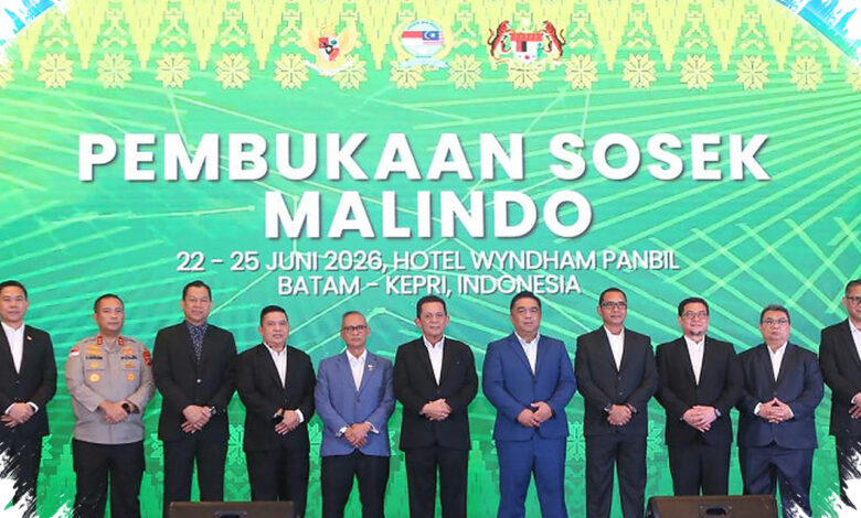 Batam-Johor Masuk Sorotan, Pemerintah Dorong Jalur RoRo di Perbatasan