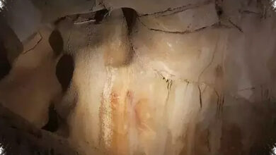Dinding Gua Ternyata Menyimpan DNA Manusia Purba, Jejak yang Tak Disangka