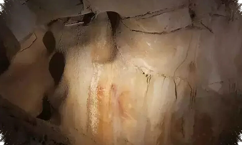 Dinding Gua Ternyata Menyimpan DNA Manusia Purba, Jejak yang Tak Disangka