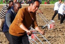 Petani Merauke Disebut Makin Sejahtera, Tas Mereka Kini Berisi iPhone