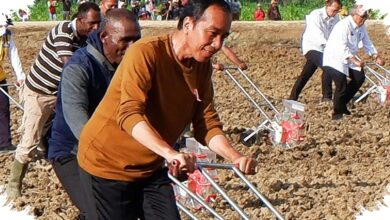 Petani Merauke Disebut Makin Sejahtera, Tas Mereka Kini Berisi iPhone