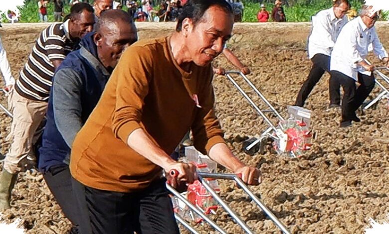 Petani Merauke Disebut Makin Sejahtera, Tas Mereka Kini Berisi iPhone