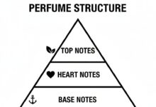 Banyak Orang Keliru Baca Aroma Parfum, Ini Bedanya Notes dan Accord
