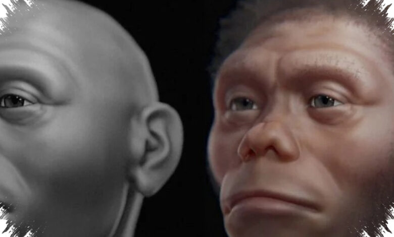 Homo Floresiensis Bukan Pemburu Besar, Komodo Diduga Lebih Dulu Menguasai Bangkai