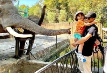 3 Cafe Dekat Jatim Park 2 Ini Punya View Batu yang Bikin Betah Lebih Lama