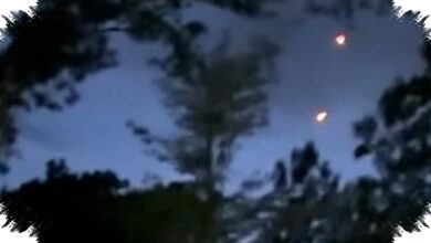 Lihat UFO? Ini Langkah Cerdas Ahli Agar Tak Langsung Menyimpulkan Alien