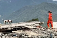 Anjing Pelacak Inggris Sisir 500 Gedung di Zona Gempa Venezuela, Pencarian Masih Kritis