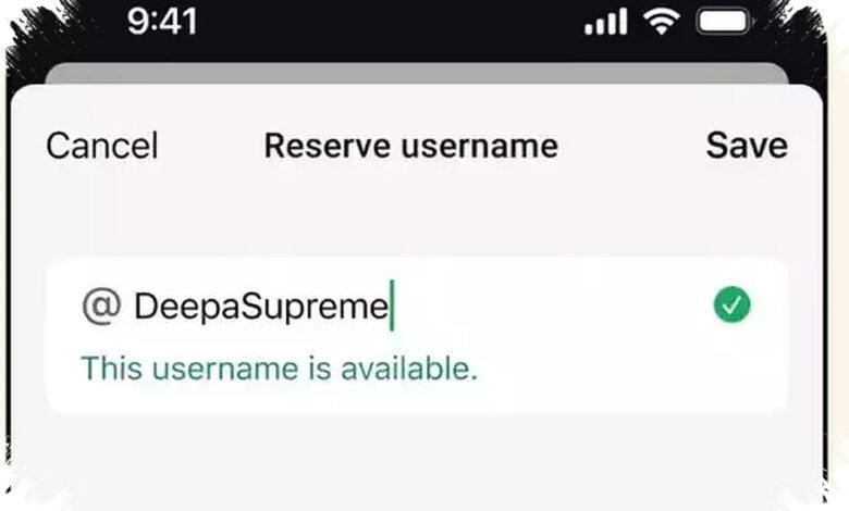 WhatsApp Diminta Tunda Username, India Khawatir Celah Penipuan dan Impersonasi