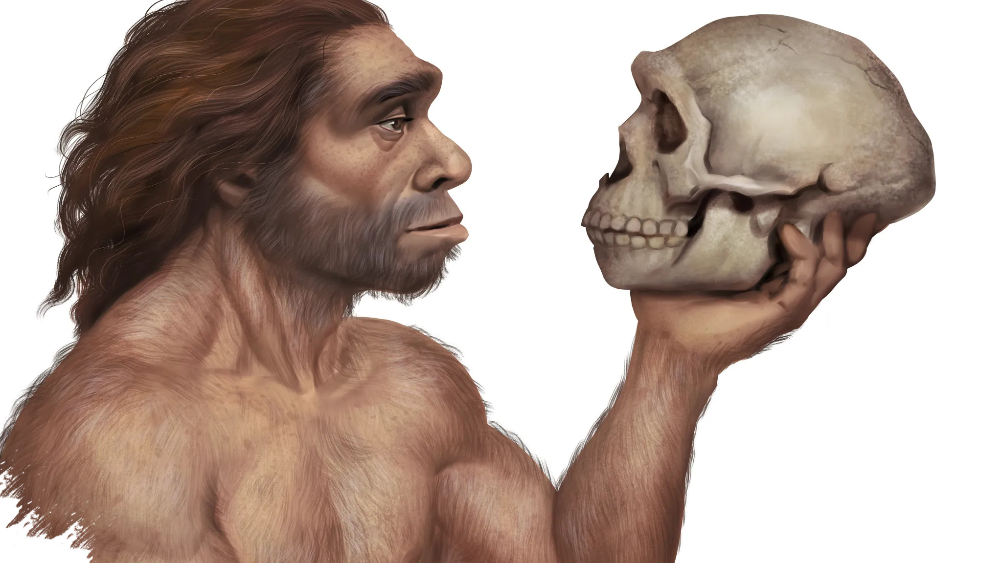 Fosil Anak 5 Tahun Ini Ungkap Kawin Silang Homo Sapiens dan Neanderthal Jauh Lebih Awal