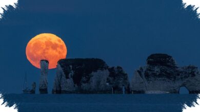 Strawberry Moon Bukan Merah Muda, Ini Alasan Bulan Juni Sering Tampak Hangat