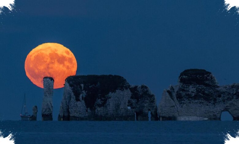 Strawberry Moon Bukan Merah Muda, Ini Alasan Bulan Juni Sering Tampak Hangat