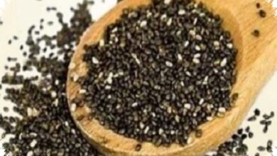 6 Makanan Tinggi Serat yang Bikin Diet Lebih Tahan Lapar Tanpa Banyak Menahan