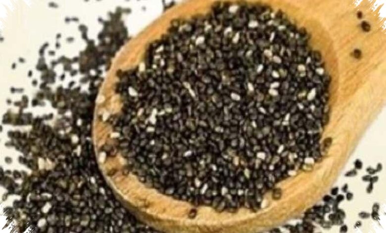 6 Makanan Tinggi Serat yang Bikin Diet Lebih Tahan Lapar Tanpa Banyak Menahan
