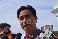 Yusril Buka Jalan Investigasi Komnas HAM, Jejak Penembak Ibu Hamil di Papua Terbuka