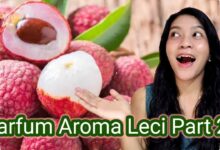 5 Parfum Lokal Aroma Leci yang Tahan Seharian, Ada yang Mulai Rp61 Ribu