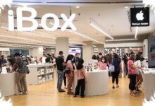 iPhone 15, 16e, dan 17 di iBox Sama-Sama Turun, Mana yang Paling Layak Dibeli?