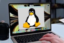 Keyboard Bawaan MacBook M3 Akhirnya Hidup di Linux, Tinggal Satu Hambatan Lagi