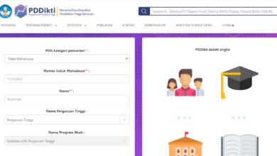 Data PDDIKTI yang Salah Bisa Hambat Beasiswa dan Lamaran Kerja, Begini Cara Mengeceknya