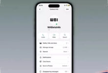 WhatsApp Uji Titik Hijau di iPhone, Cara Baru Pantau Kontak Sedang Online