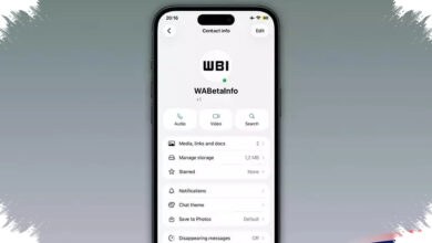 WhatsApp Uji Titik Hijau di iPhone, Cara Baru Pantau Kontak Sedang Online