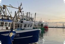 Gelombang Panas Laut Ekstrem Mengintai Inggris, Biota Laut Bisa Tersapu Mati Massal
