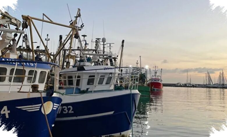 Gelombang Panas Laut Ekstrem Mengintai Inggris, Biota Laut Bisa Tersapu Mati Massal