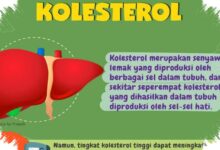 11 Mitos Kolesterol yang Masih Banyak Dipercaya, Padahal Faktanya Beda