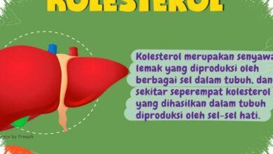 11 Mitos Kolesterol yang Masih Banyak Dipercaya, Padahal Faktanya Beda