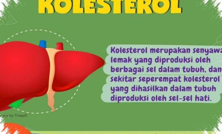 11 Mitos Kolesterol yang Masih Banyak Dipercaya, Padahal Faktanya Beda