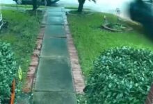 Tesla Seruduk Rumah, Nenek 76 Tahun Tewas dan Keluarga Langsung Gugat Perusahaan