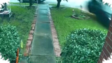 Tesla Seruduk Rumah, Nenek 76 Tahun Tewas dan Keluarga Langsung Gugat Perusahaan
