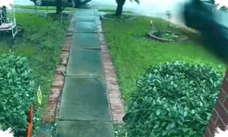 Tesla Seruduk Rumah, Nenek 76 Tahun Tewas dan Keluarga Langsung Gugat Perusahaan