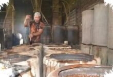 Ciu Bekonang Masuk Daftar WBTb Jateng, Revisi Administrasi Tak Ubah Statusnya