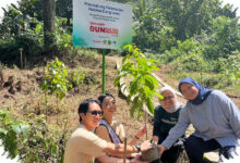 Sharp Tanam 600 Pohon Rasamala di Gunung Salak, Restorasi Hutan Elang Jawa Dimulai