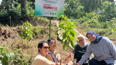 Sharp Tanam 600 Pohon Rasamala di Gunung Salak, Restorasi Hutan Elang Jawa Dimulai