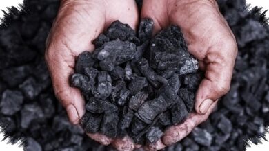 LSAK Dorong KPK Ambil Alih Kasus Batu Bara, Barang Bukti 74 Kg Emas Disorot