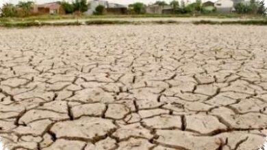 14 Kabupaten di Jateng Mulai Krisis Air, 129 Juta Liter Disiapkan untuk Warga