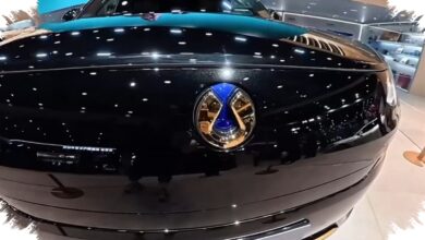 Denza N9 Tampil Makin Mewah dengan Dark Gold dan Emblem Emas 24 Karat