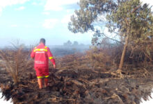 Sinyal Lemah Hambat Pemadaman 7 Hektare Gambut Terbakar di Rokan Hilir