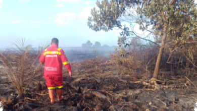 Sinyal Lemah Hambat Pemadaman 7 Hektare Gambut Terbakar di Rokan Hilir