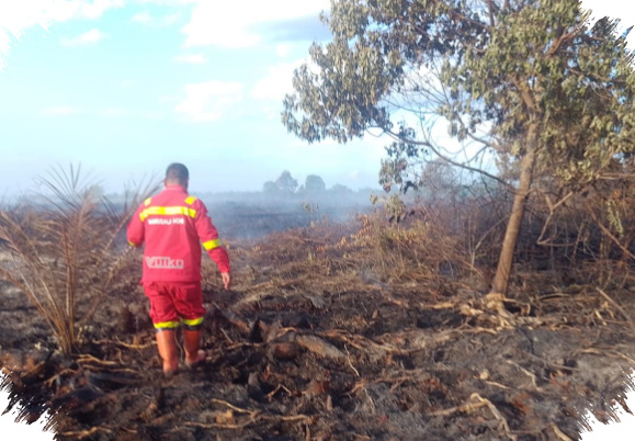 Sinyal Lemah Hambat Pemadaman 7 Hektare Gambut Terbakar di Rokan Hilir