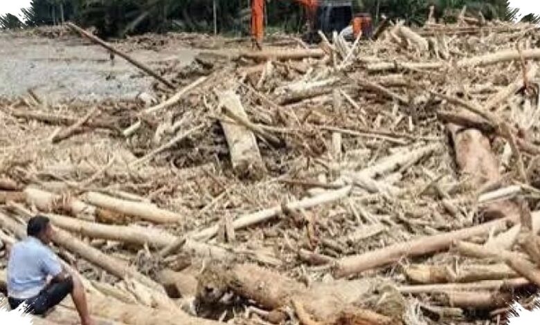 Penebangan Hutan Bikin Banjir Makin Sering, Risiko Naik Drastis di Wilayah Bersalju