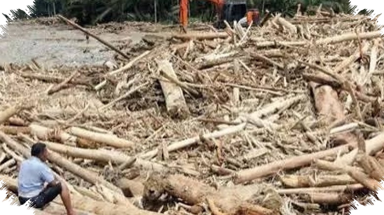 Penebangan Hutan Bikin Banjir Makin Sering, Risiko Naik Drastis di Wilayah Bersalju