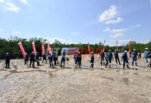 Honda Babel Tanam 500 Mangrove di Belitung, Pesan Kuat di Tengah Ancaman Abrasi