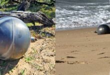 6 Bola Logam di Pantai Queensland Ternyata Puing Roket, Sempat Dipasangi Garis Pembatas
