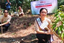 600 Langkah Pelari Disulap Jadi Pohon di Habitat Elang Jawa, Sharp Bawa Teknologi ke Hutan