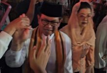 DKI Ngebut Normalisasi Kali Ciliwung, Pembebasan Lahan Dikerjakan Tanpa Perantara