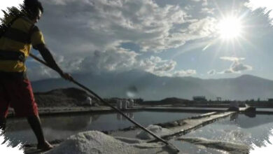 Impor Garam Industri Naik Lagi, Serapan Garam Lokal Makin Tertekan